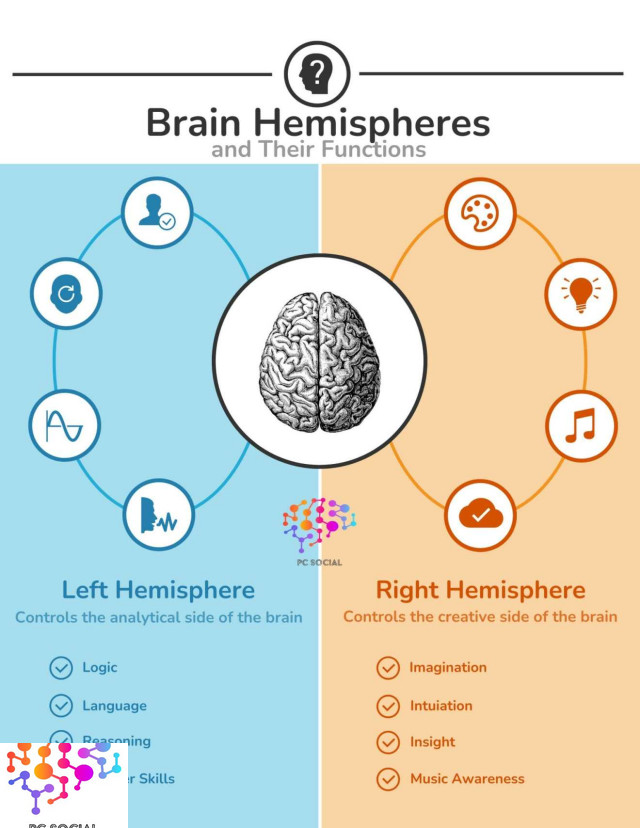 Brain, Music, Strategy, Functions, Marketing